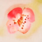 Heavenly Official's blessings to you